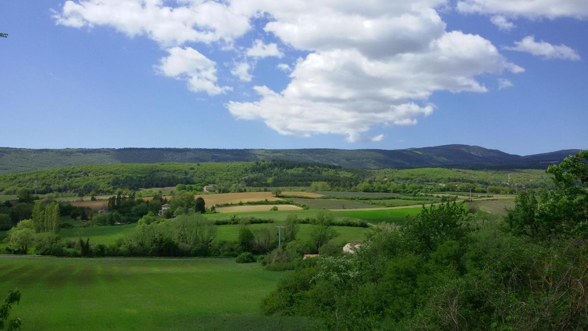 Le Grain De Lavande - Mont Ventoux Sault-de-Vaucluse Zewnętrze zdjęcie